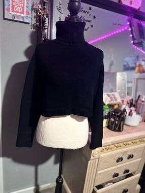Zara Turtleneck Cropped Sweater - Women